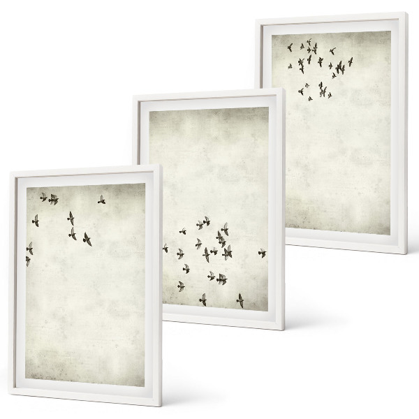 Set of 3 framed wall art pieces Minimalist bird painting