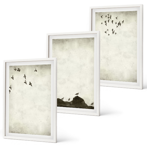 Wall art set Flying Birds Minimalism