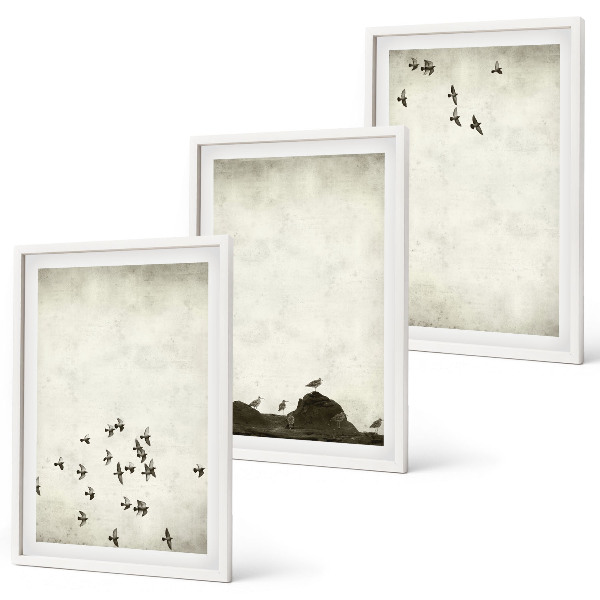 Three-piece wall art piece Birds in flight minimalist style