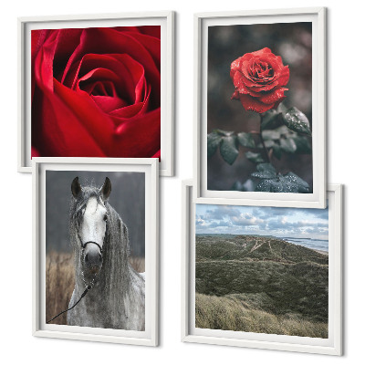 Set of 4 wall art pieces Red roses horse gray background