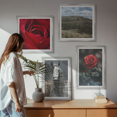 Set of 4 wall art pieces Red roses horse gray background