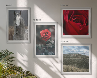 Set of 4 wall art pieces Red roses horse gray background
