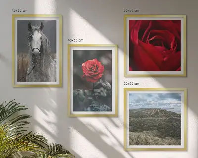 Set of 4 wall art pieces red roses and horse on a gray background