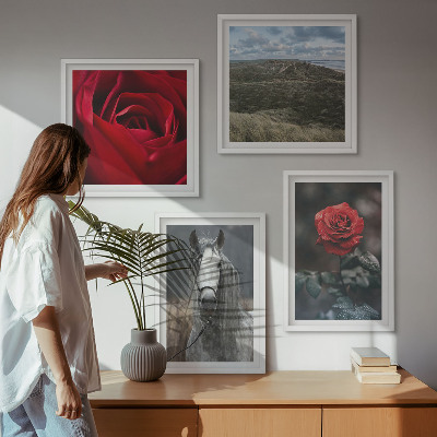 Set of 4 wall art pieces Red roses horse gray background