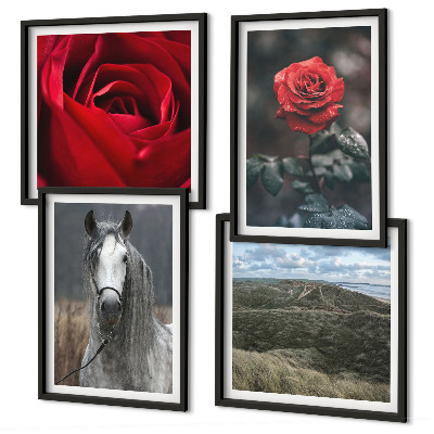 Set of 4 wall art pieces Red roses horse gray background