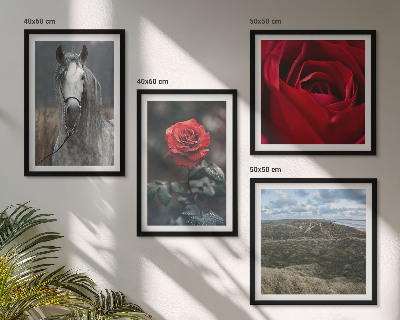 Set of 4 wall art pieces Red roses horse gray background