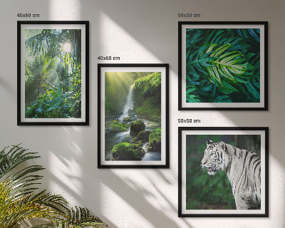 Set of 4 wall art pieces Jungle White Tiger Waterfall
