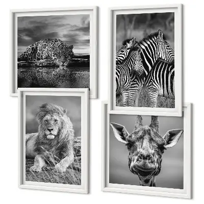 Wild Animals Wall Art set of 4 prints featuring a lion jaguar giraffe and zebras