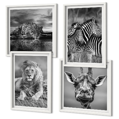Set of 4 wall art pieces Wild Animals Lion Jaguar Giraffe Zebras