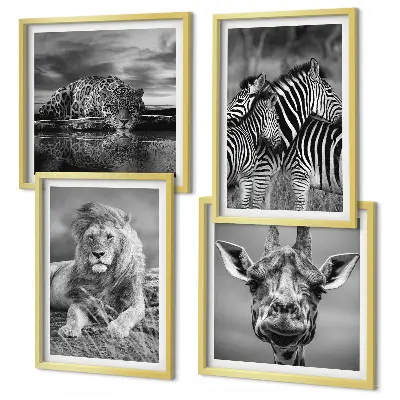 Wild Animals Wall Art set of 4 prints featuring a lion jaguar giraffe and zebras