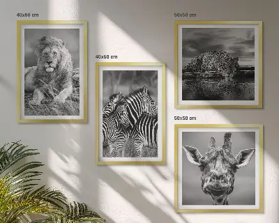 Wild Animals Wall Art set of 4 prints featuring a lion jaguar giraffe and zebras