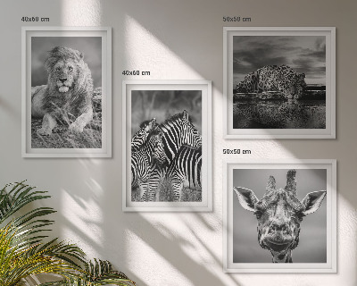 Set of 4 wall art pieces Wild Animals Lion Jaguar Giraffe Zebras