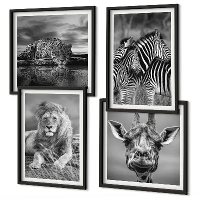 Wild Animals Wall Art set of 4 prints featuring a lion jaguar giraffe and zebras