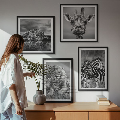 Set of 4 wall art pieces Wild Animals Lion Jaguar Giraffe Zebras