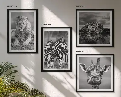 Wild Animals Wall Art set of 4 prints featuring a lion jaguar giraffe and zebras