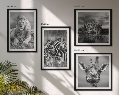 Set of 4 wall art pieces Wild Animals Lion Jaguar Giraffe Zebras