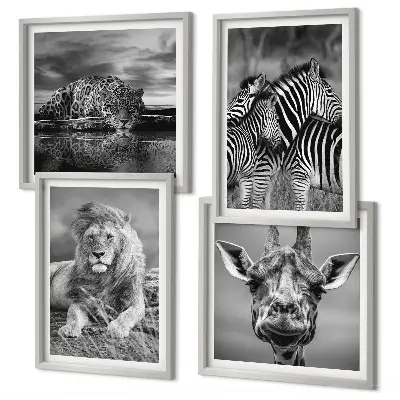 Wild Animals Wall Art set of 4 prints featuring a lion jaguar giraffe and zebras