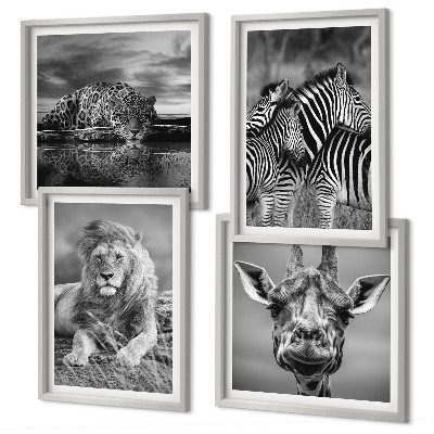 Set of 4 wall art pieces Wild Animals Lion Jaguar Giraffe Zebras