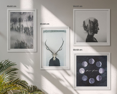 Set of 4 wall art pieces Forest fog moon skull woman