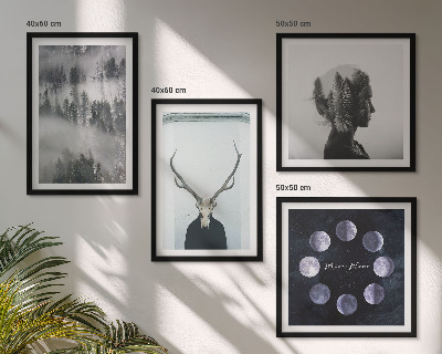 Set of 4 wall art pieces Forest fog moon skull woman