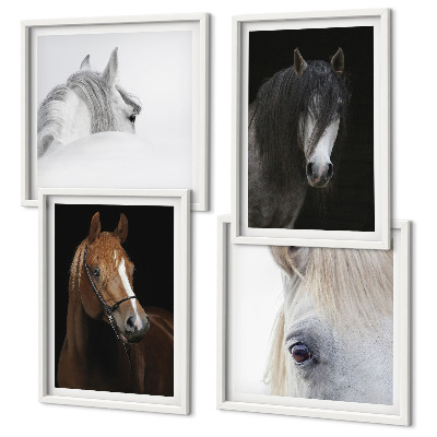 Wall art set Horse portraits in shades
