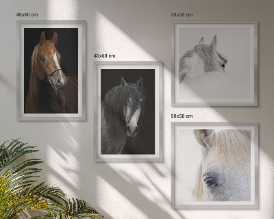 Wall art set Horse portraits in shades