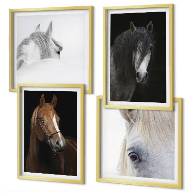 Wall art set Horse portraits in shades