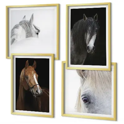Horse portraits wall art set in shades