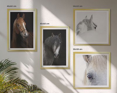 Wall art set Horse portraits in shades