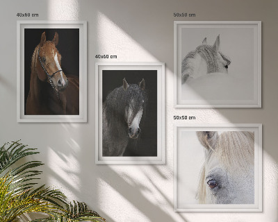 Wall art set Horse portraits in shades