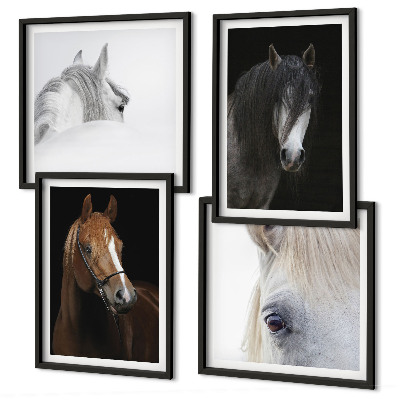 Wall art set Horse portraits in shades