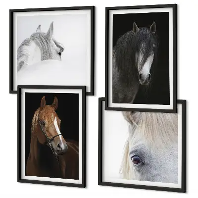 Horse portraits wall art set in shades