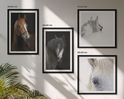 Wall art set Horse portraits in shades