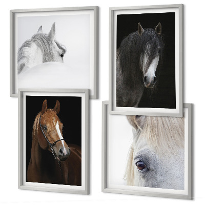 Wall art set Horse portraits in shades
