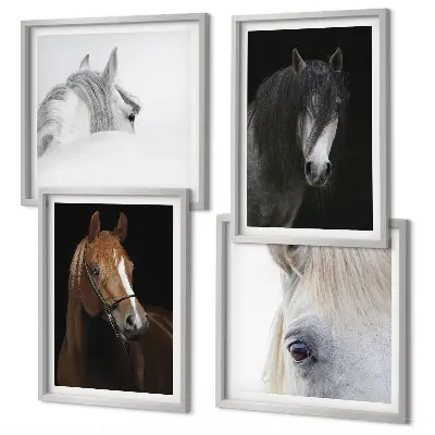 Horse portraits wall art set in shades