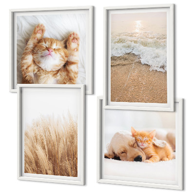 Multi-piece wall decor set Cute animals cats dogs beach