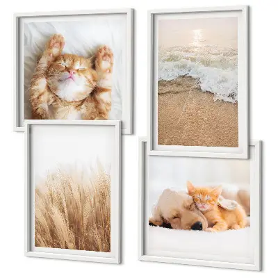 Multi-piece wall decor set with cute cats and dogs at the beach