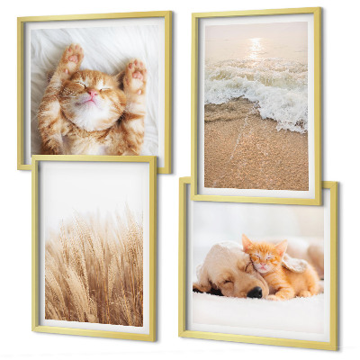 Multi-piece wall decor set Cute animals cats dogs beach