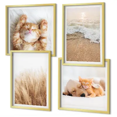 Multi-piece wall decor set with cute cats and dogs at the beach