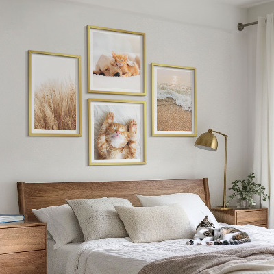 Multi-piece wall decor set Cute animals cats dogs beach