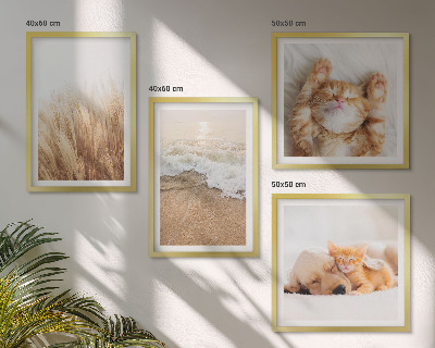 Multi-piece wall decor set Cute animals cats dogs beach