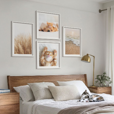 Multi-piece wall decor set Cute animals cats dogs beach