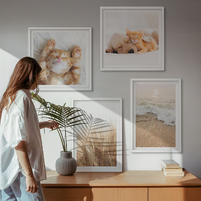 Multi-piece wall decor set Cute animals cats dogs beach