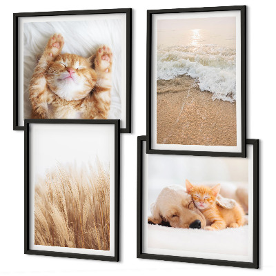 Multi-piece wall decor set Cute animals cats dogs beach