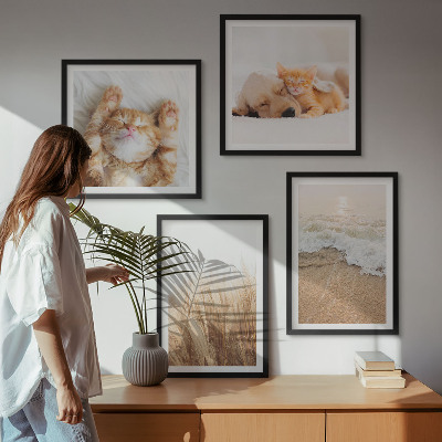 Multi-piece wall decor set Cute animals cats dogs beach