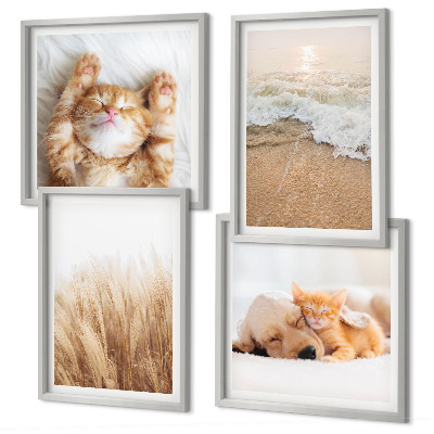 Multi-piece wall decor set Cute animals cats dogs beach
