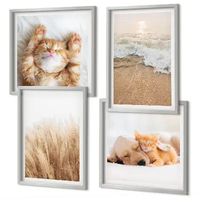 Multi-piece wall decor set with cute cats and dogs at the beach