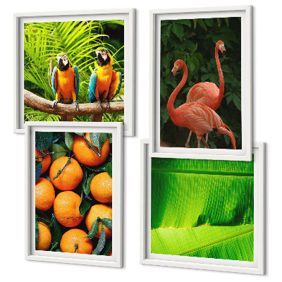 Multi-piece wall decor set Fruity accents of the tropics