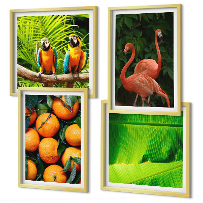 Multi-piece wall decor set Fruity accents of the tropics