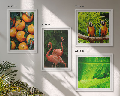 Multi-piece wall decor set Fruity accents of the tropics